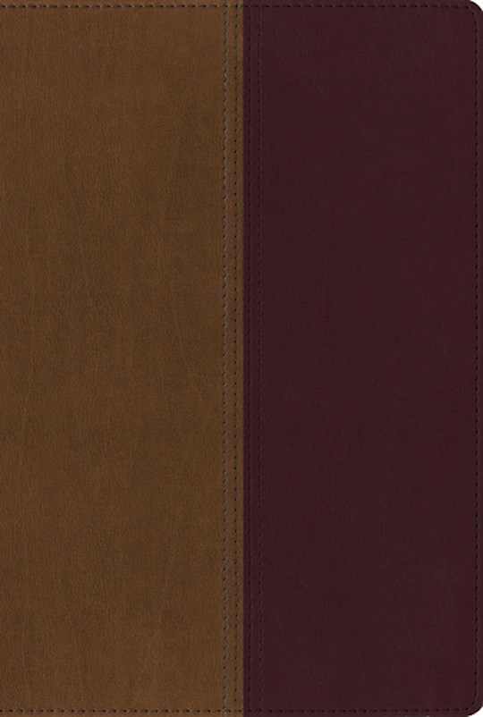 NIV & KJV Side-By-Side Bible-Tan/Cherry Duo-Tone | SHOPtheWORD