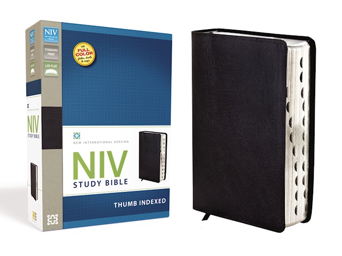 NIV Study Bible-Black Bonded Leather Indexed | SHOPtheWORD
