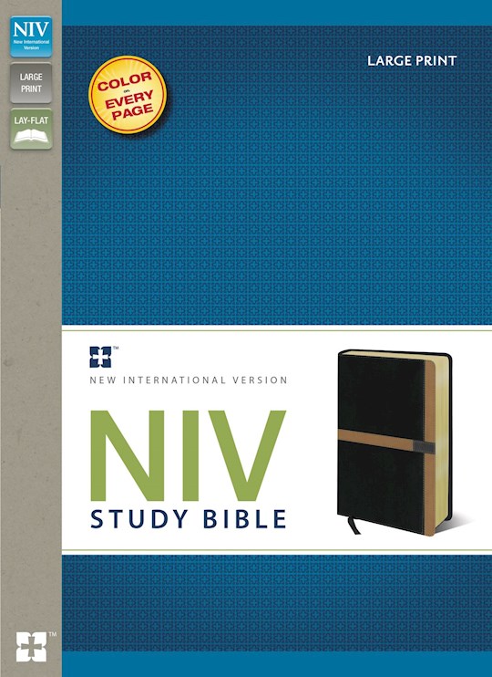 NIV Study Bible/Large Print-Black/Caramel Duo-Tone | SHOPtheWORD