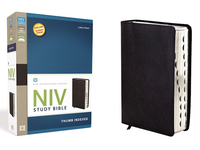 NIV Study Bible/Large Print-Black Bonded Leather Indexed | SHOPtheWORD