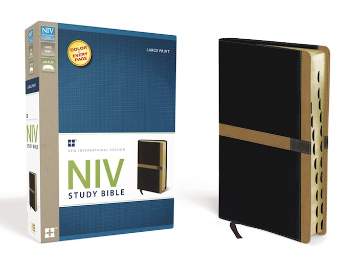 NIV Study Bible/Large Print-Black/Caramel Duo-Tone Indexed | SHOPtheWORD