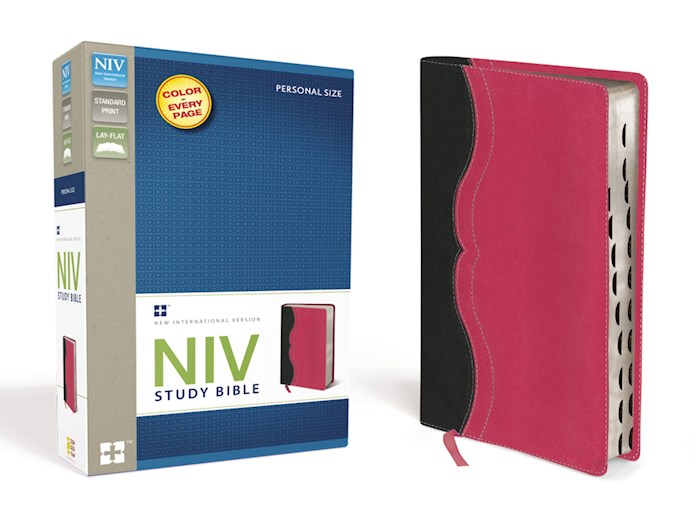 NIV Study Bible/Personal Size-Black/Pink Duo-Tone | SHOPtheWORD