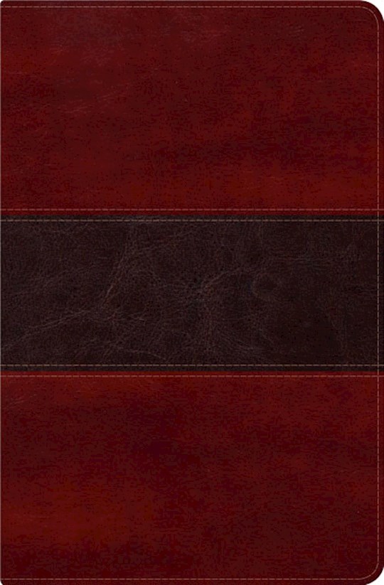 Span-RVR 1960 Fisher Of Men Bible (Biblia del Pescador)-Mahogany LeatherTouch | SHOPtheWORD