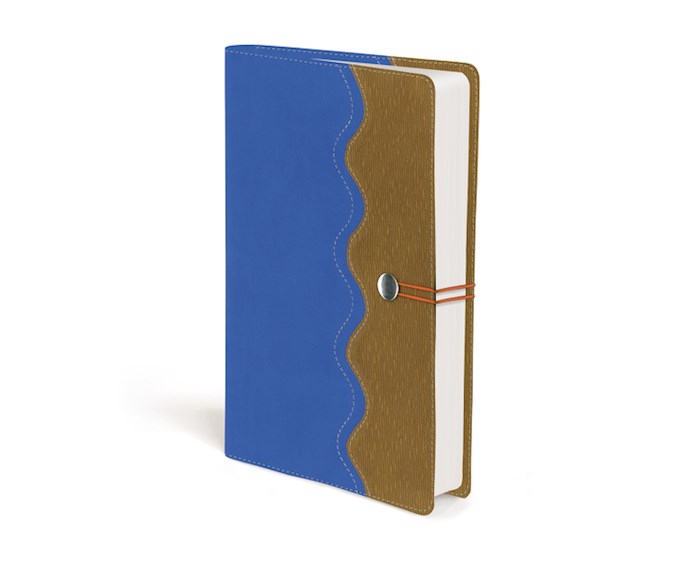 NIrV Adventure Bible For Early Readers (Full Color)-Blue/Tan DuoTone | SHOPtheWORD
