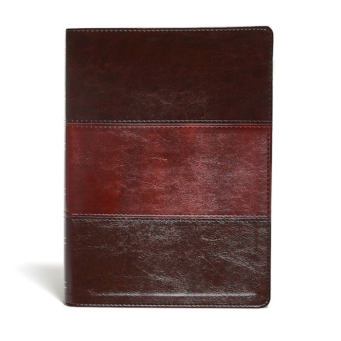 KJV Study Bible/Large Print (Full-Color)-Saddle Brown | SHOPtheWORD