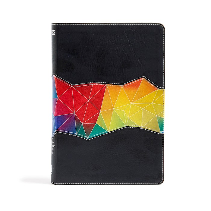 NIV Holman Rainbow Study Bible-Kaleidoscope Black Leathertouch Indexed | SHOPtheWORD