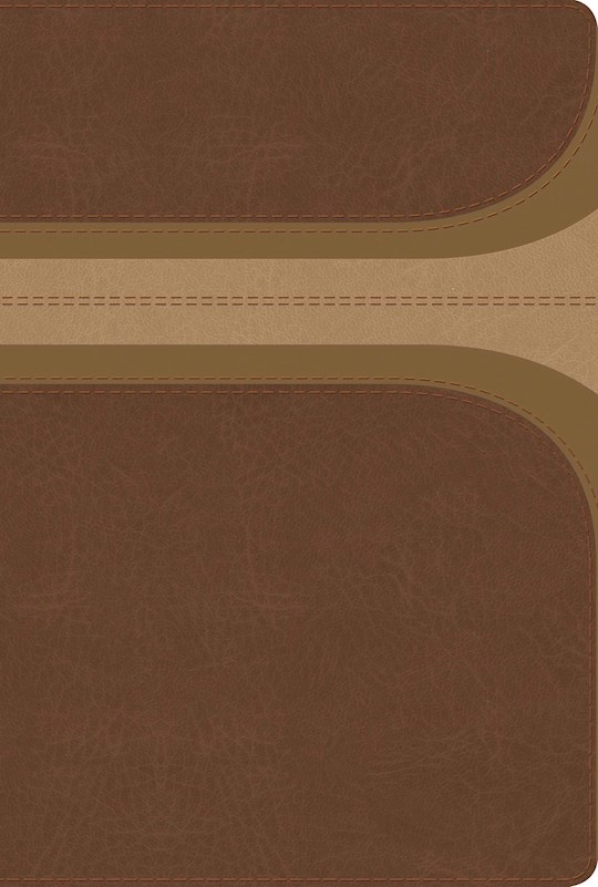 Span-RVR 1960 Rainbow Study Bible (Biblia de Estudio Acro Iris)-Brown/Tan LeatherTouch Indexed | SHOPtheWORD