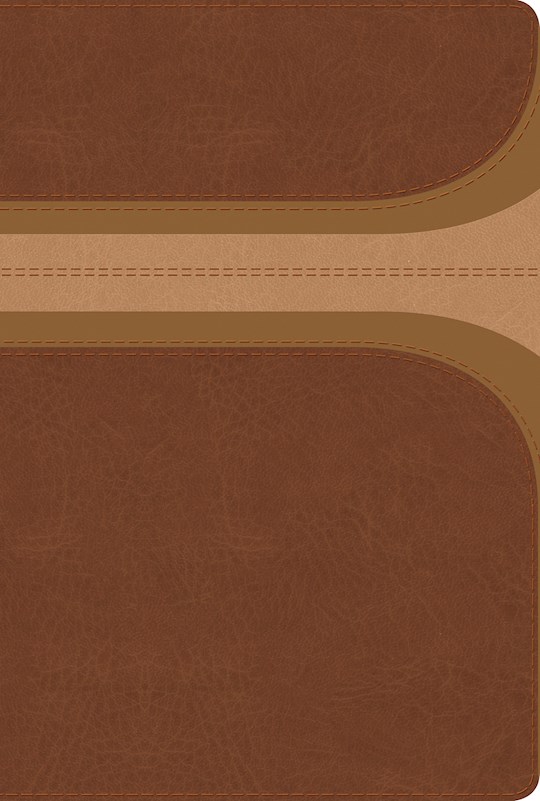 Span-RVR 1960 Rainbow Study Bible (Biblia de Estudio Acro Iris)-Brown/Tan LeatherTouch | SHOPtheWORD