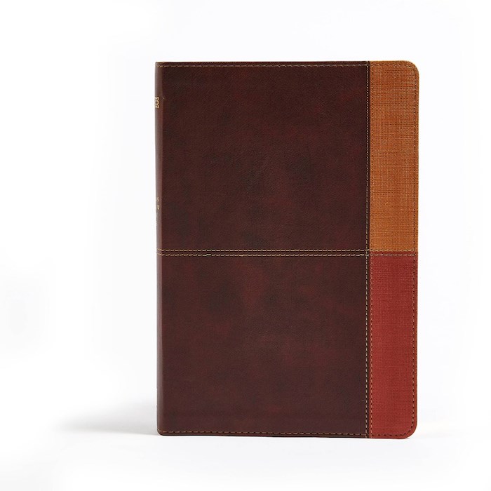 NIV Holman Rainbow Study Bible-Cocoa/Terra Cotta/Ochre Leathertouch | SHOPtheWORD
