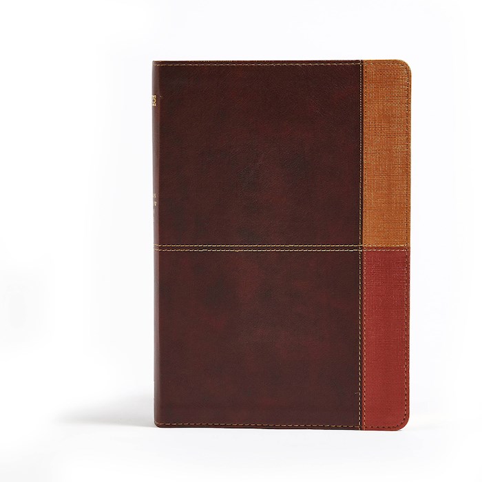 NIV Holman Rainbow Study Bible-Cocoa/Terra Cotta/Ochre Leathertouch Indexed | SHOPtheWORD