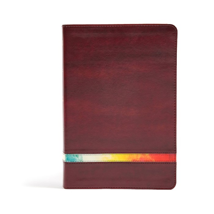 NIV Holman Rainbow Study Bible-Maroon Leathertouch Indexed | SHOPtheWORD
