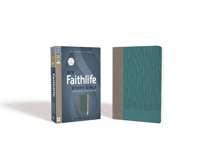 NIV Faithlife Study Bible-Gray/Turquoise Leathersoft | SHOPtheWORD