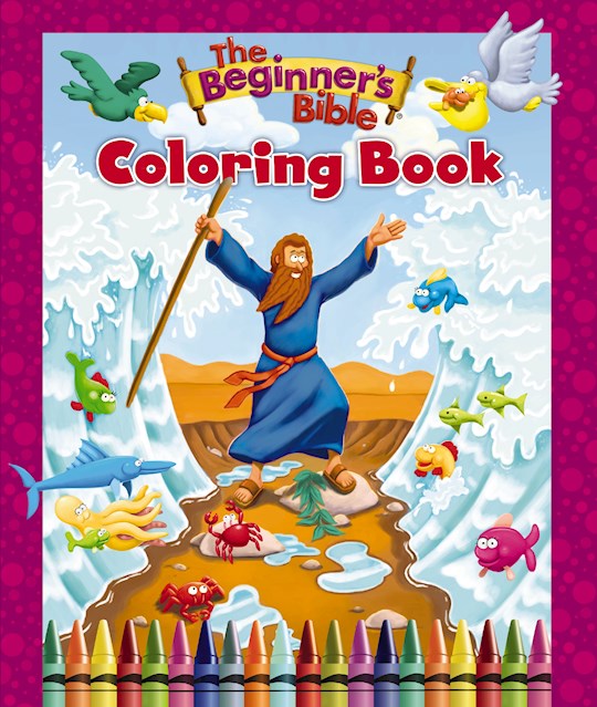 Crossroads Book And Music The Beginners Bible All Aboard Noahs Ark A Lift And Learn