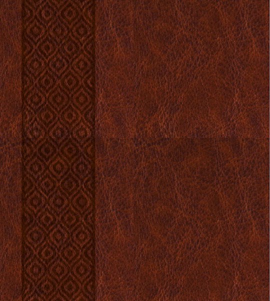KJV Expressions Bible-Deluxe Brown Hardcover | SHOPtheWORD