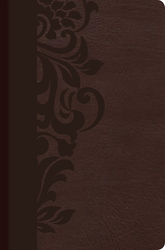 Span-RVR 1960 Study Bible For Women-Brown LeatherTouch Indexed | SHOPtheWORD