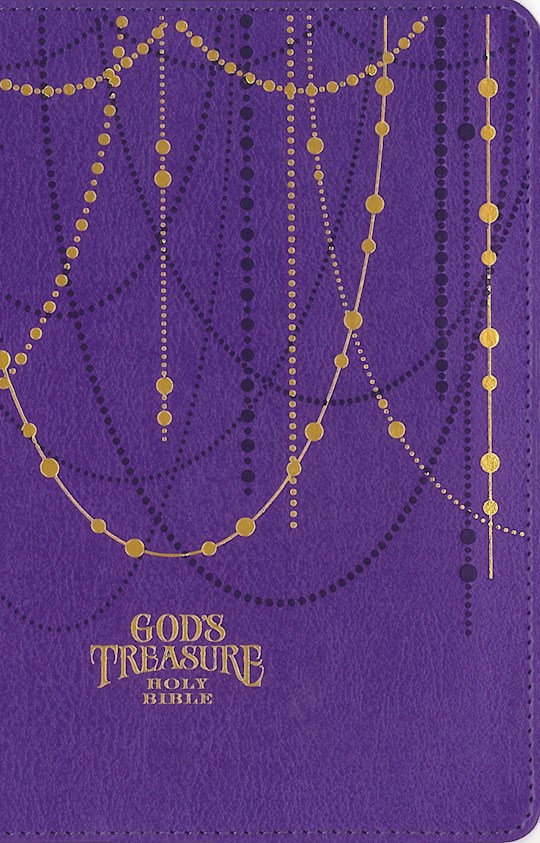 NIV God's Treasure Holy Bible-Amethyst Leathersoft | SHOPtheWORD