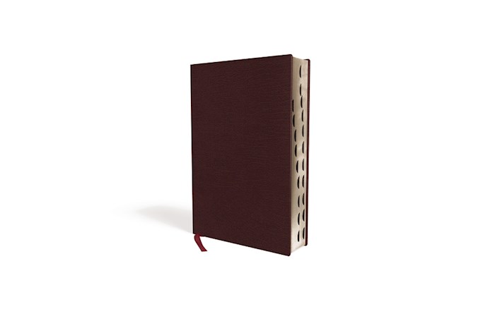 NIV Thinline Bible/Large Print (Comfort Print)-Burgundy Bonded Leather Indexed | SHOPtheWORD