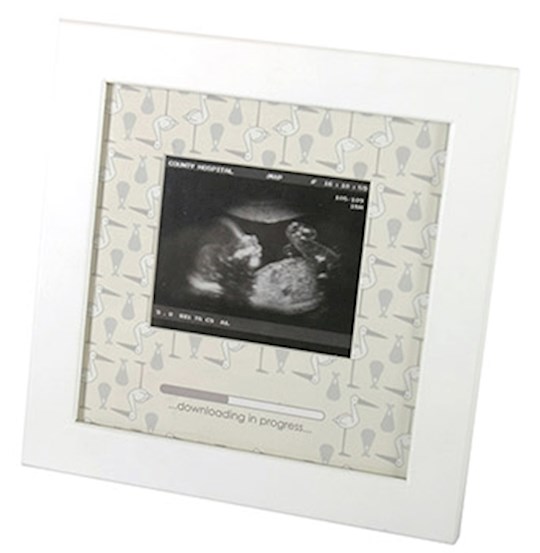 Frame-Sonogram-Downloading In Progress (Holds 3.65