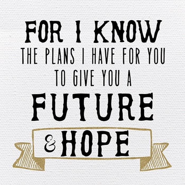 Plaque-Tabletop-For I Know The Plans (4