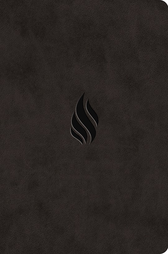 ESV Value Compact Bible-Midnight Flame Design TruTone | SHOPtheWORD