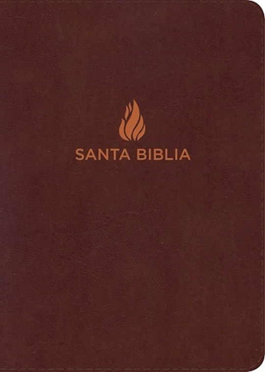 Span-NIV Hand Size Giant Print Bible (Biblia Letra Grande Tamano Manual)-Brown Bonded Leather Indexed | SHOPtheWORD