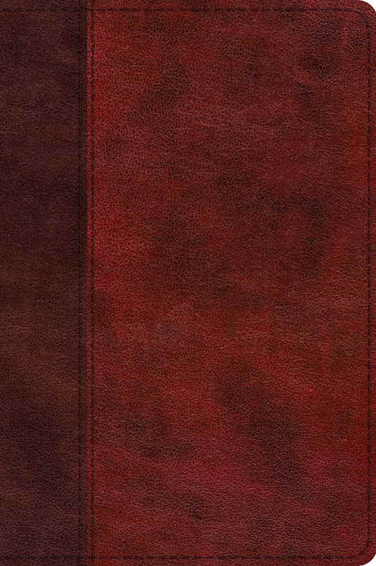 ESV Journaling New Testament-Inductive Edition-Burgundy/Red Timeless Design TruTone (Not Available-Out Of Print) | SHOPtheWORD