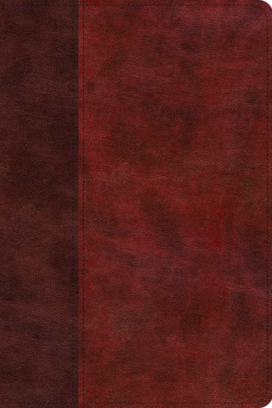 ESV Story Of Redemption Bible-Burgundy/Cherry Timeless Design TruTone | SHOPtheWORD