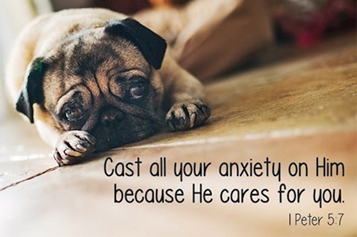 Cards-Pass It On-Cast All Your Anxiety (New) (3