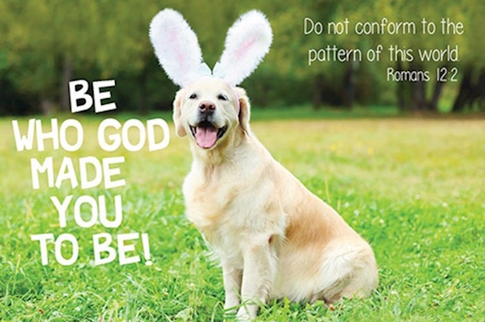 Cards-Pass It On-Do Not Conform (3