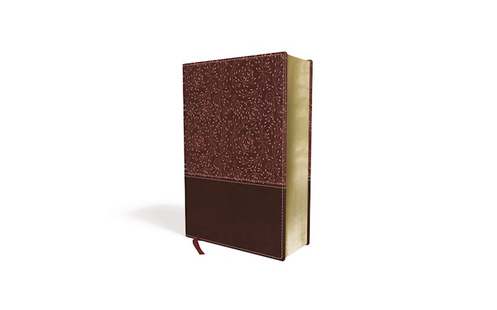 NRSV Cultural Backgrounds Study Bible (Comfort Print)-Burgundy Leathersoft | SHOPtheWORD