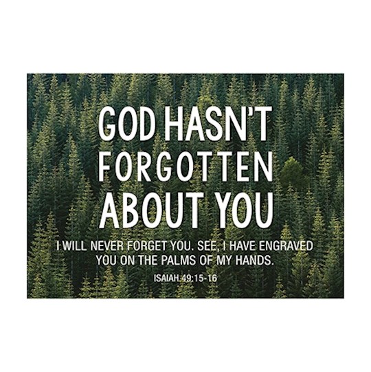 Postcard-God Hasn't Forgotten You (6 x 4.25) (Pack Of 6) | SHOPtheWORD