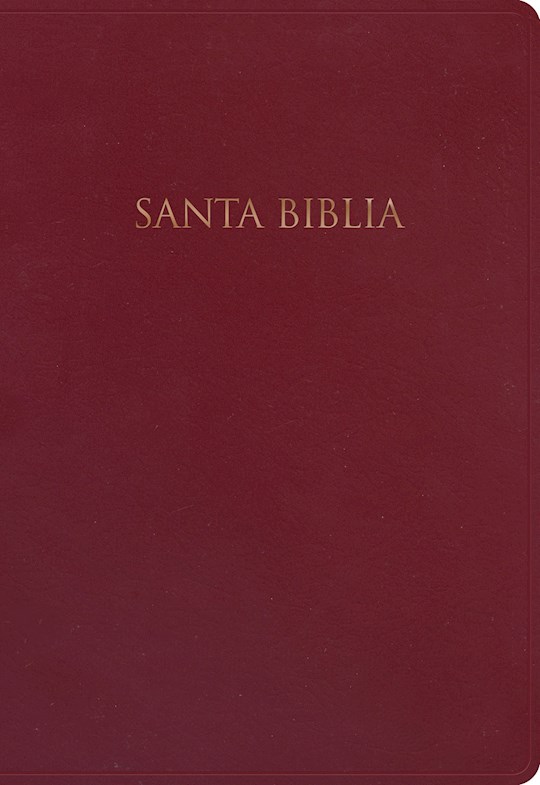 Span-NIV Gift And Award Bible (Biblia Para Regalos Y Premios)-Burgundy Imitation Leather | SHOPtheWORD