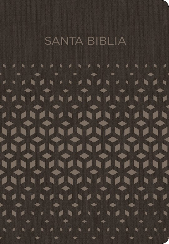 Span-NIV Gift And Award Bible (Biblia Para Regalos Y Premios)-Black/Silver Imitation Leather | SHOPtheWORD