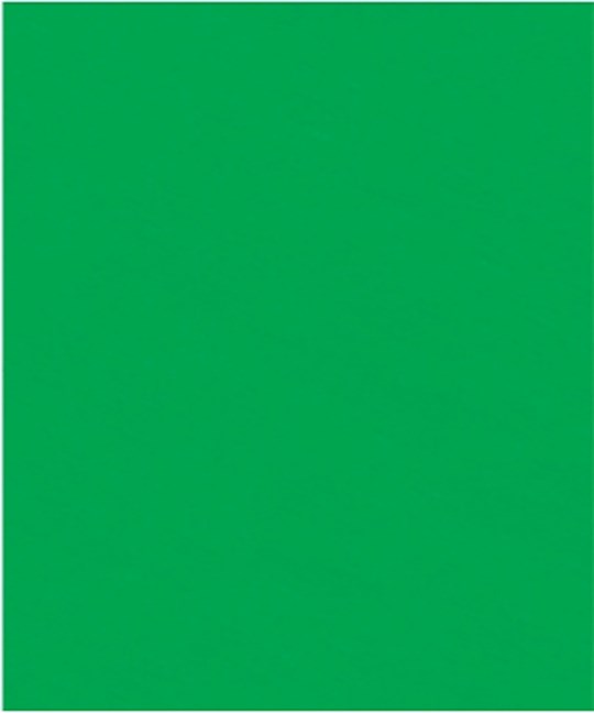 Multi Event Crepe Paper-Dark Green (Pack Of 10) | SHOPtheWORD