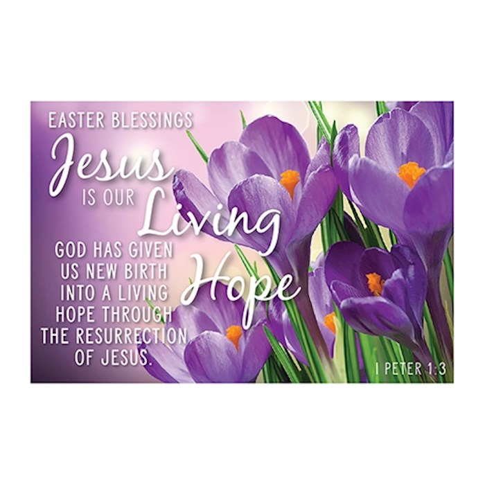 Cards-Pass It On-Jesus Is Our Living Hope/Purple Floral (3