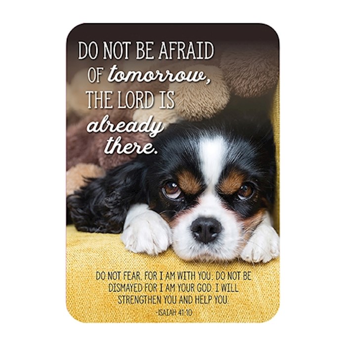 Verse Card-Do Not Be Afraid (Dog Lying Down) (2.5