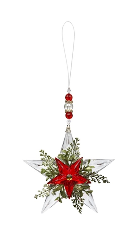 Ornament-Beaded Mistletoe Krystal Star (5.5