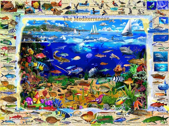 Jigsaw Puzzle-The Mediterranean (550 Pieces) | SHOPtheWORD