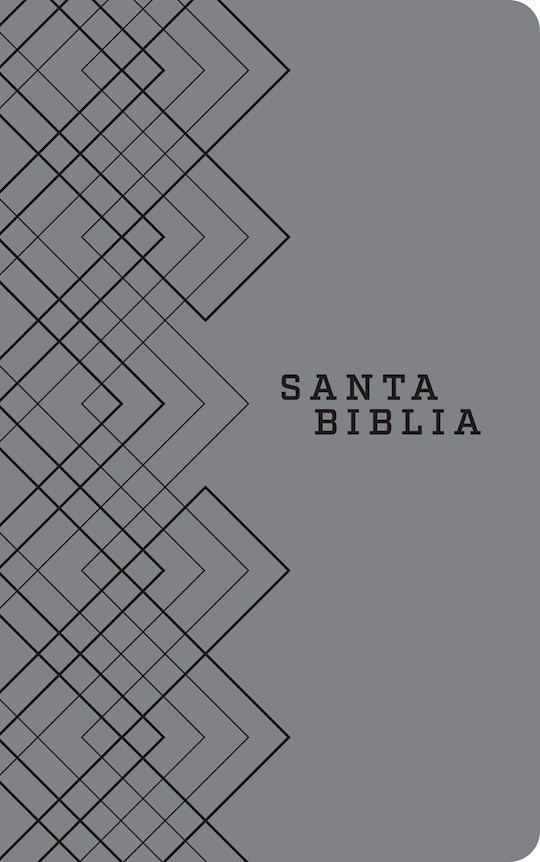 Span-NTV Holy Bible, Agape Edition (Santa Biblia, Edicion Agape)-Gray LeatherLike | SHOPtheWORD