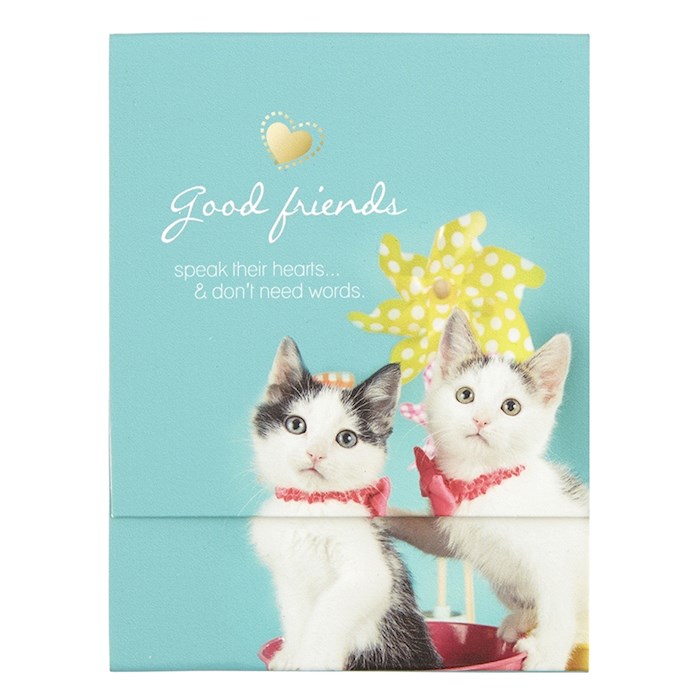 Pocket Notepad-Good Friends (3