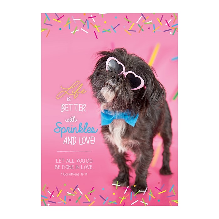 Poster-Large-Life Is Better With Sprinkles (13.5
