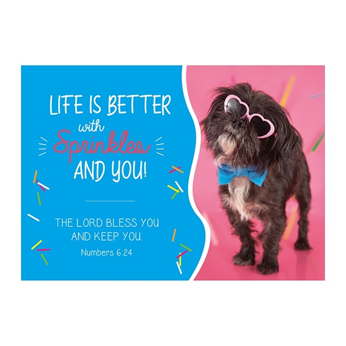 Postcard-Life Is Better With Sprinkles (6