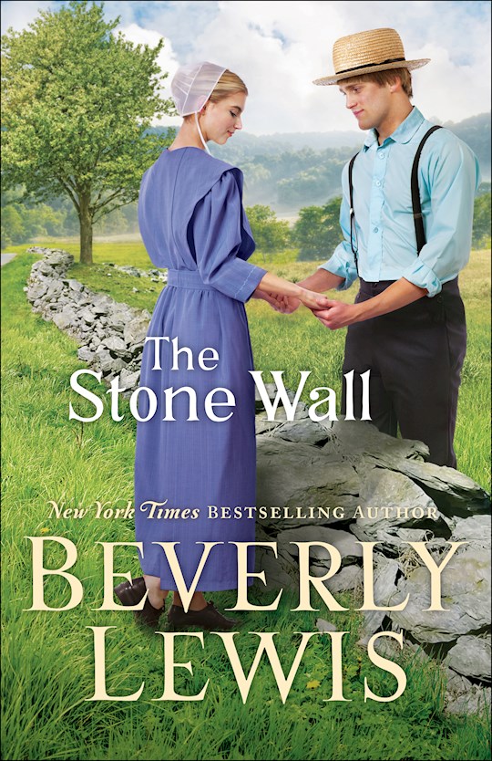 The Stone Wall-Hardcover | SHOPtheWORD