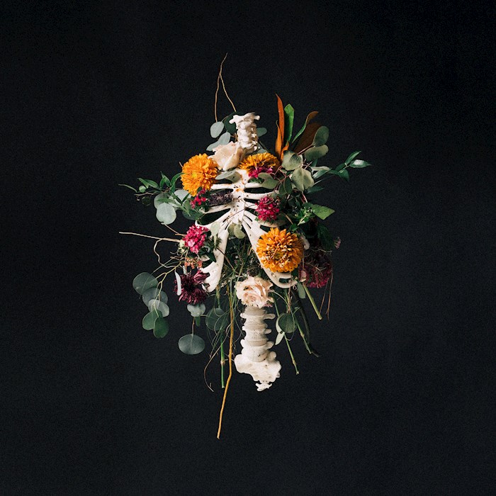 Audio CD-Graves Into Gardens | SHOPtheWORD