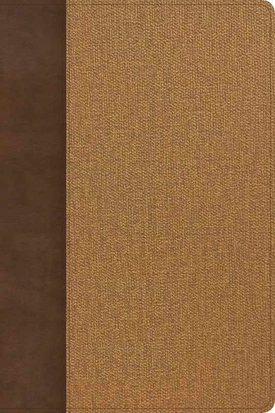 KJV Study Bible (Full Color)-Brown/Tan LeatherTouch Indexed (Oct) | SHOPtheWORD