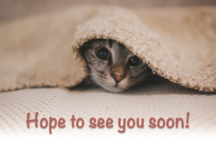 Postcard-Hope To See You Soon (Pack Of 25) | SHOPtheWORD