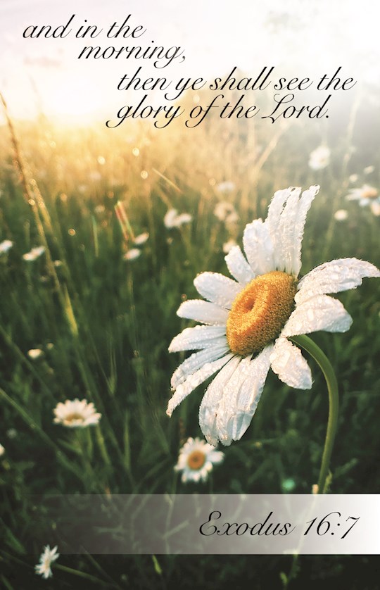 Bulletin-And In The Morning, The Ye Shall See (Exodus 16:7, KJV) (Pack Of 100 ) | SHOPtheWORD
