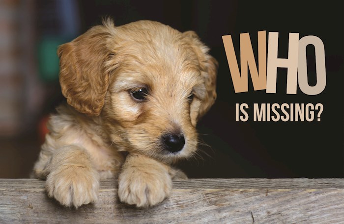 Postcard-Who Is Missing? (Pack Of 25) | SHOPtheWORD
