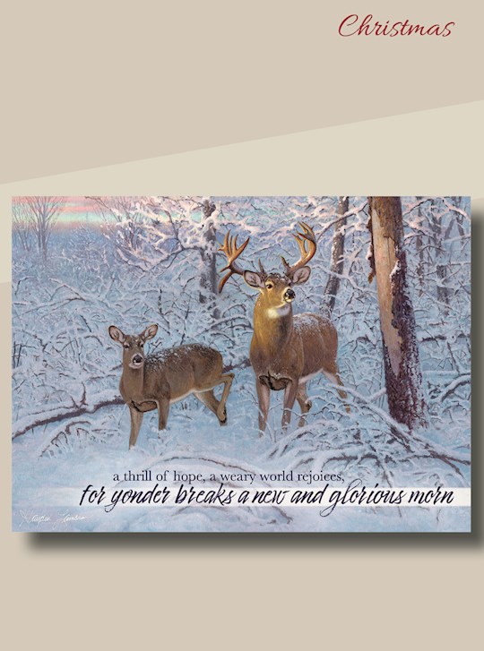 Card-Boxed-Christmas-Whitetail Deer w/Scripture (Box Of 12) | SHOPtheWORD
