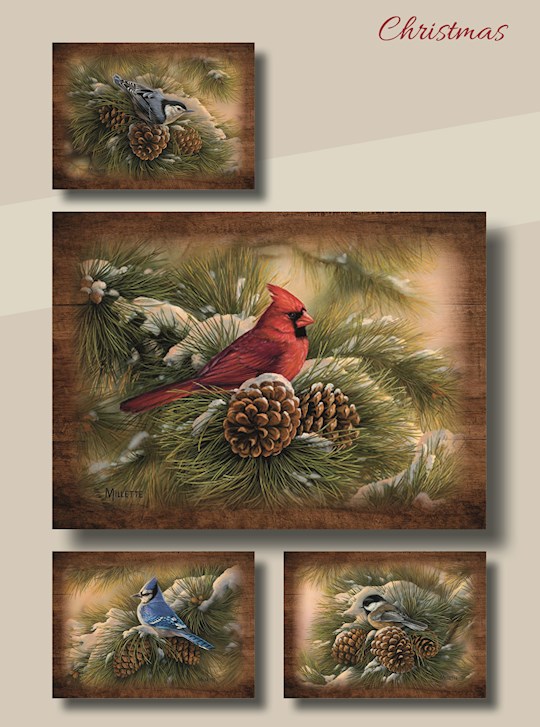 Card-Boxed-Christmas-Winter Birds w/Scripture (Box Of 12) | SHOPtheWORD
